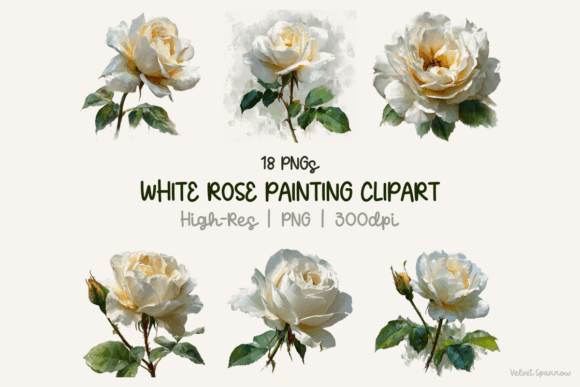 Download White Rose Painting Clipart 18 Png - Clipart Collection