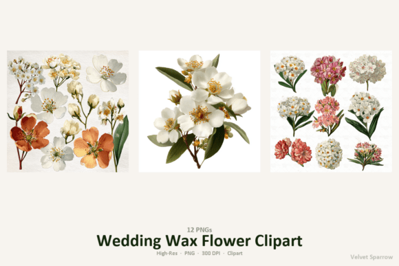 Download Wedding Wax Flower Clipart - Clipart Collection