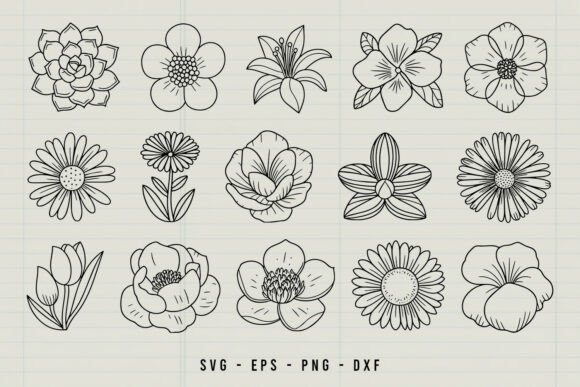 Download Hand Drawn Flower Clipart SVG Bundle - Clipart Collection