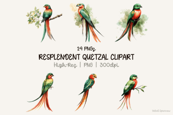Download Resplendent Quetzal Clipart - Clipart Collection