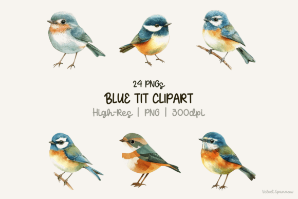 Download Blue Tit Clipart 24 PNG - Clipart Collection