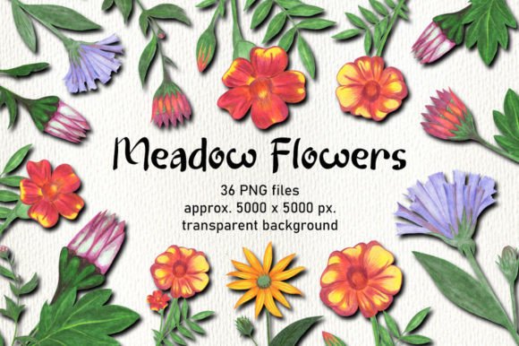 Download Hand Drawn Flower Clipart Sublimation - Clipart Collection