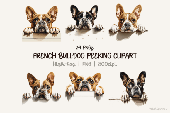 Download French Bulldog Peeking Clipart 24 Png - Clipart Collection
